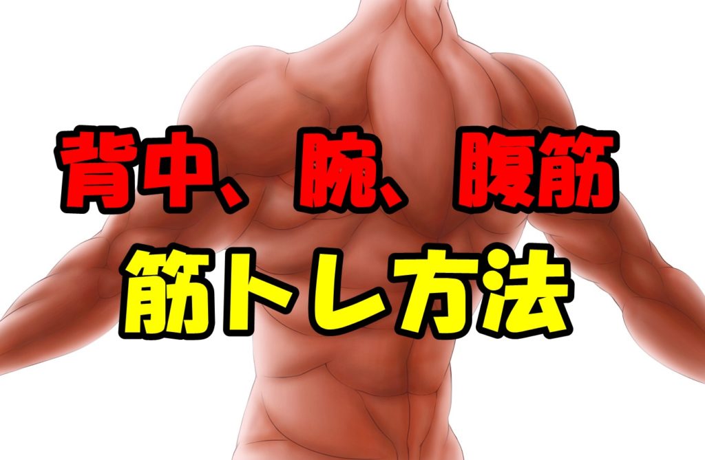 背中、腹筋、腕の筋トレ方法!